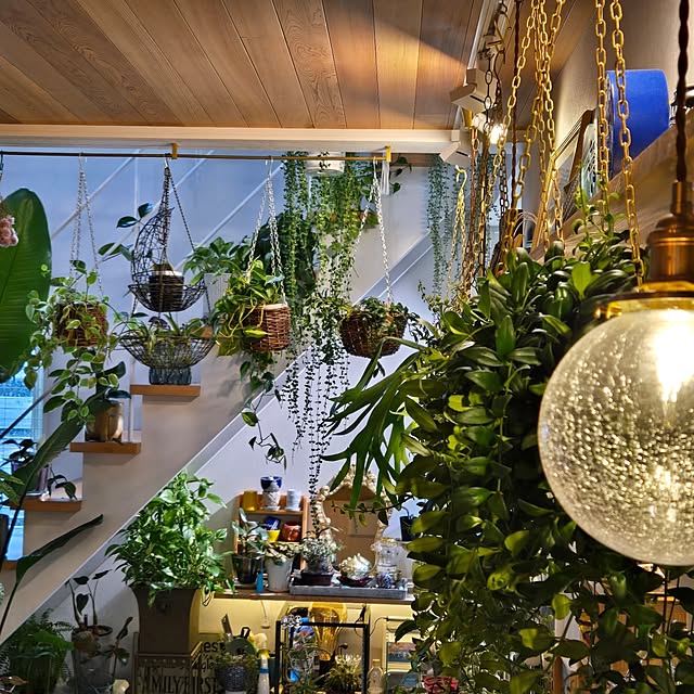 nonbiri_house_さんの部屋