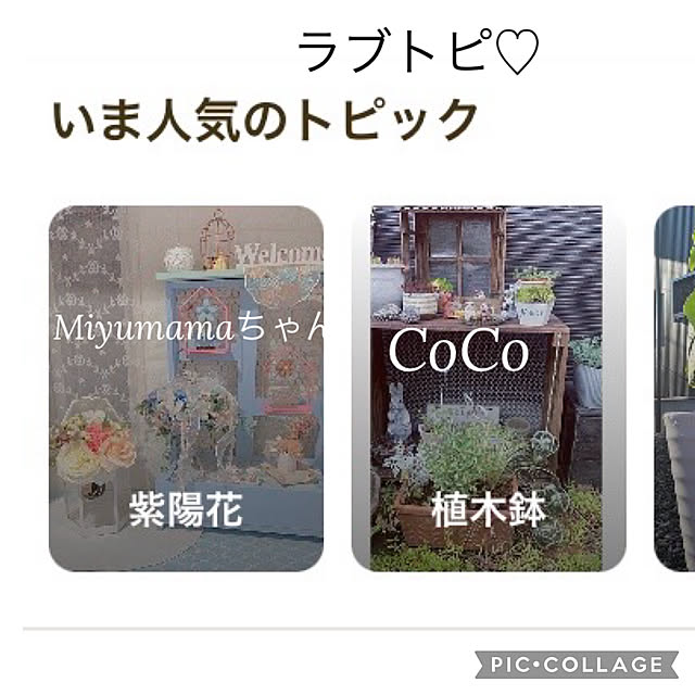 CoCo0617さんの実例写真