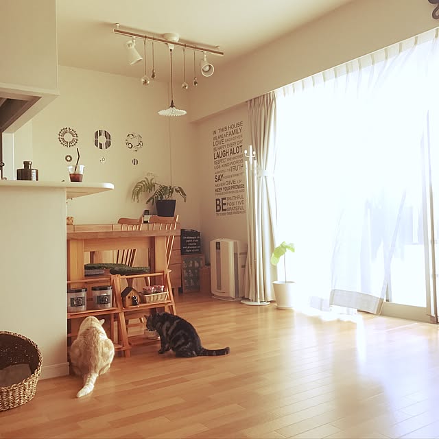 hiyupan88さんの実例写真
