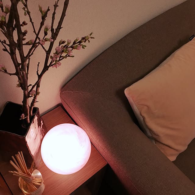 ixiさんの実例写真