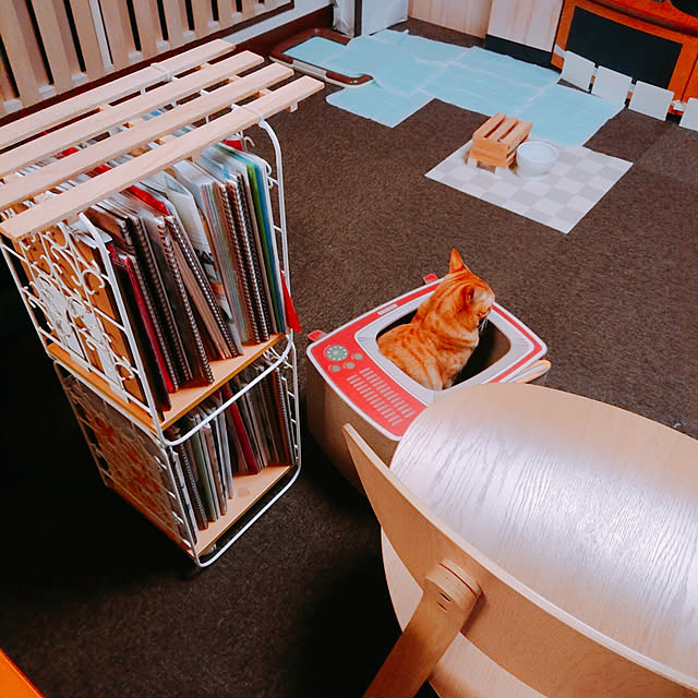 kikiさんの実例写真