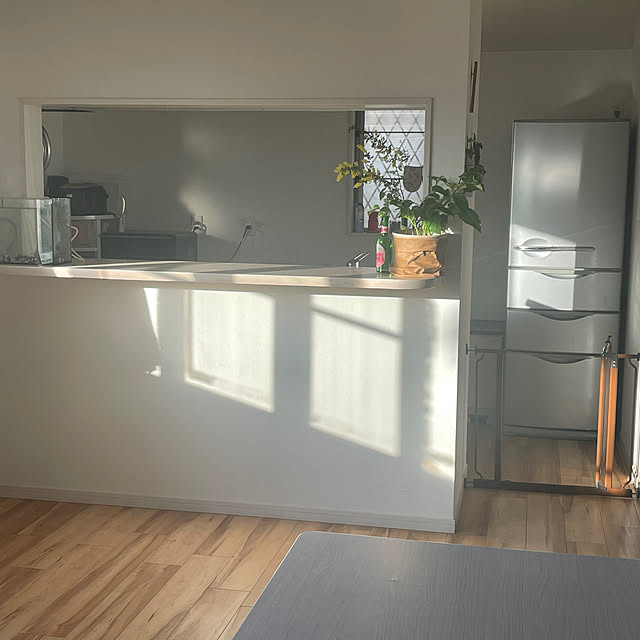 Harukiさんの部屋