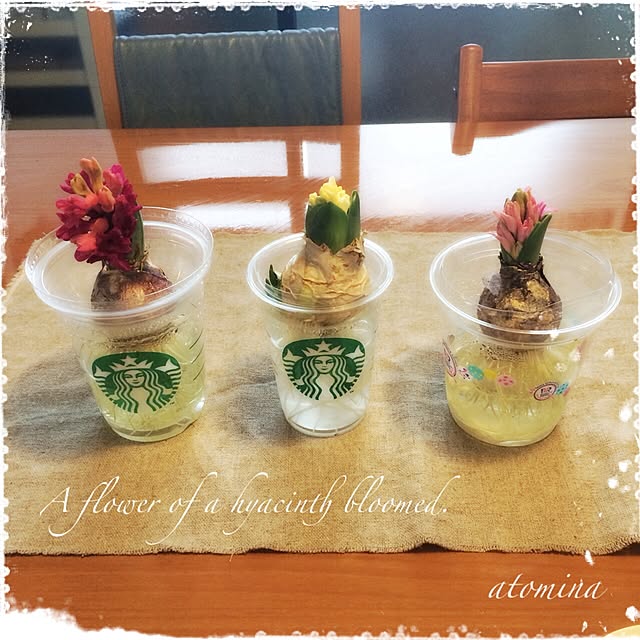 atominaさんの実例写真