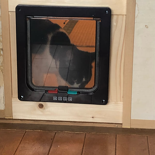 tatsuさんの実例写真