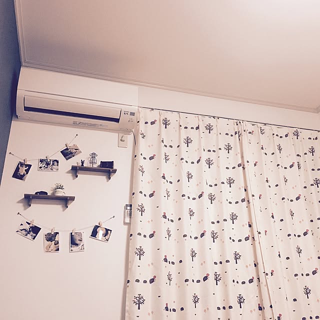 iexpo121aさんの実例写真
