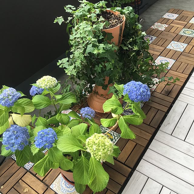 Lmamaさんの実例写真