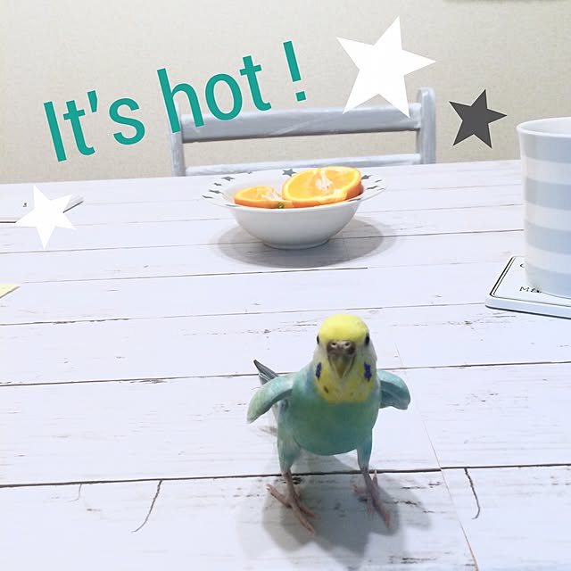 tarさんの実例写真