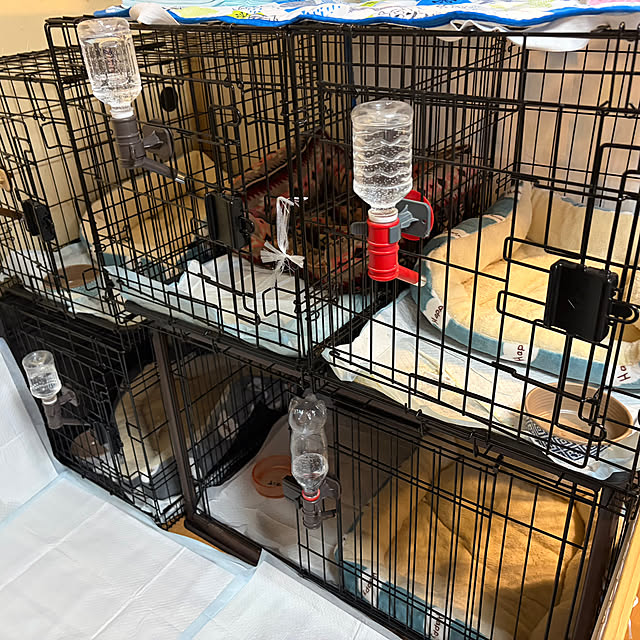 momoさんの実例写真