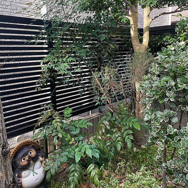 kuikoさんの実例写真