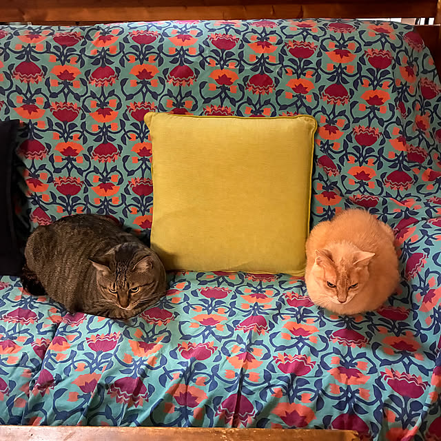 mikan161さんの実例写真