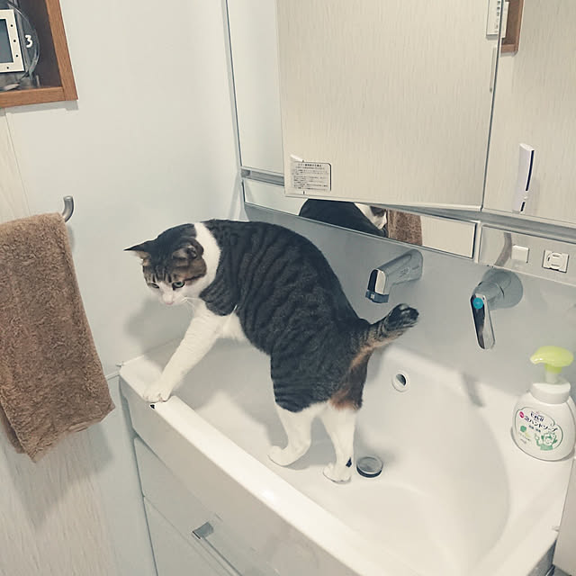 nachiさんの実例写真
