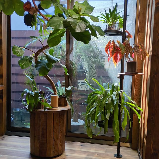 milkyさんの実例写真