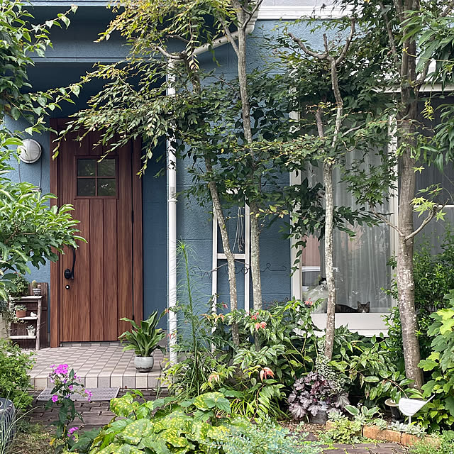 nobikoさんの部屋
