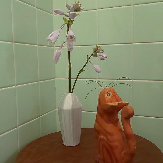 --rnrmm--さんの実例写真