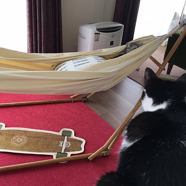 mikomaruさんの実例写真
