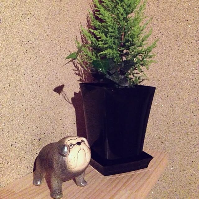 kenyaさんの実例写真