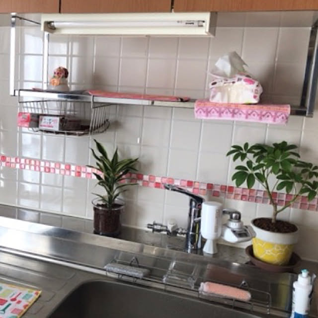 キッチン/観葉植物のインテリア実例 - 2019-01-08 13:48:27