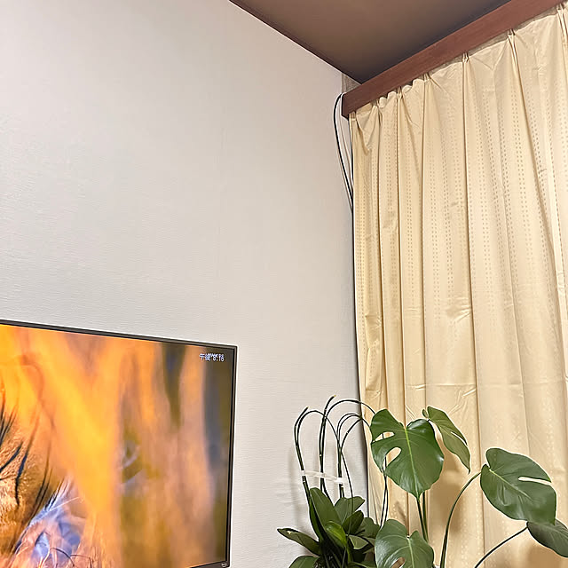 tamaさんの実例写真