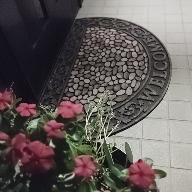 misakiさんの実例写真