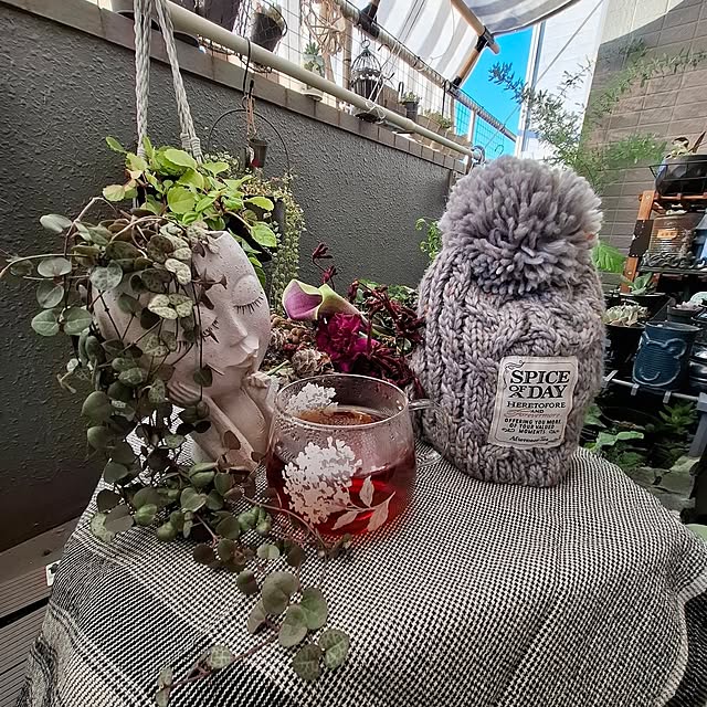 noaさんの実例写真