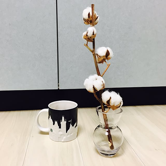 asaさんの実例写真