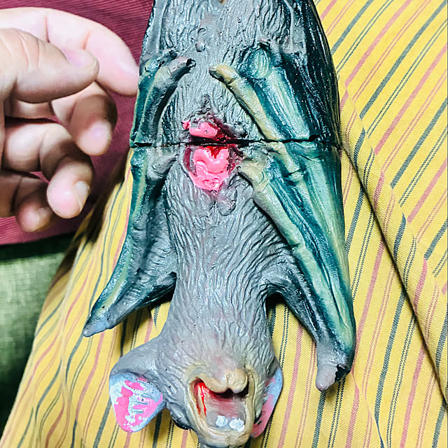 takakuzenさんの実例写真