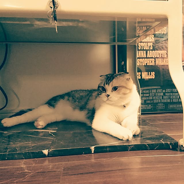 Sachiさんの実例写真