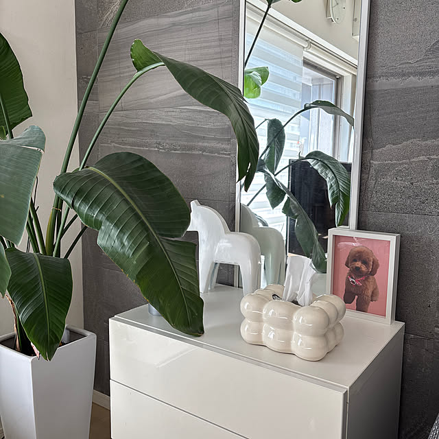 poohさんの実例写真