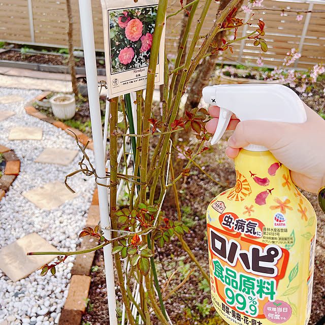 chanduさんの実例写真