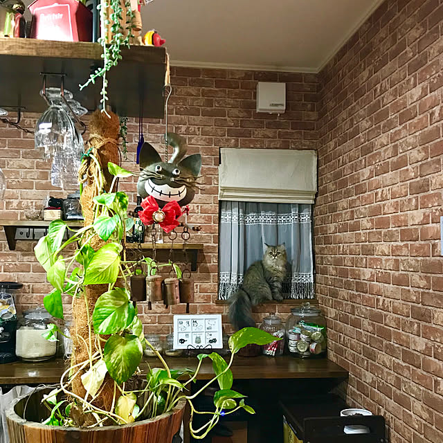 butachanさんの実例写真