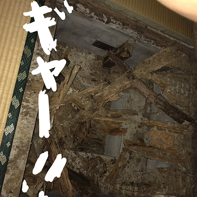 michaelさんの実例写真