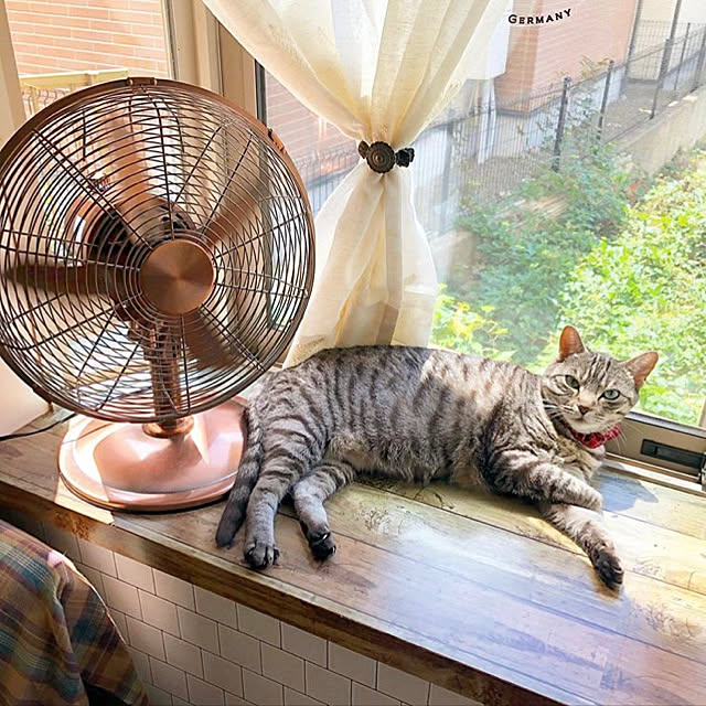 MARIRUさんの実例写真