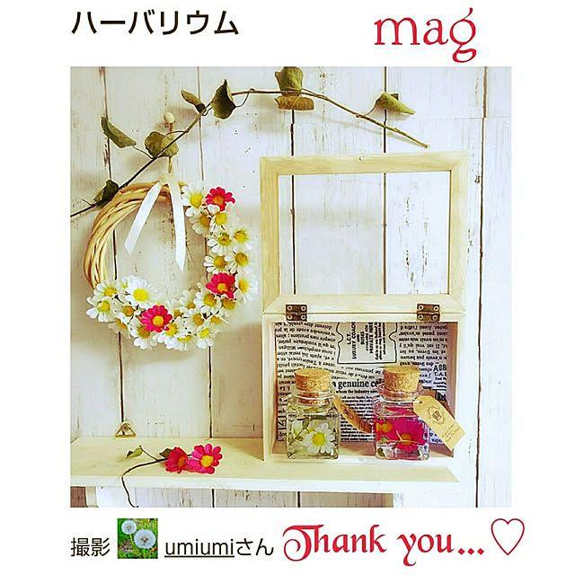 umiumiさんの実例写真
