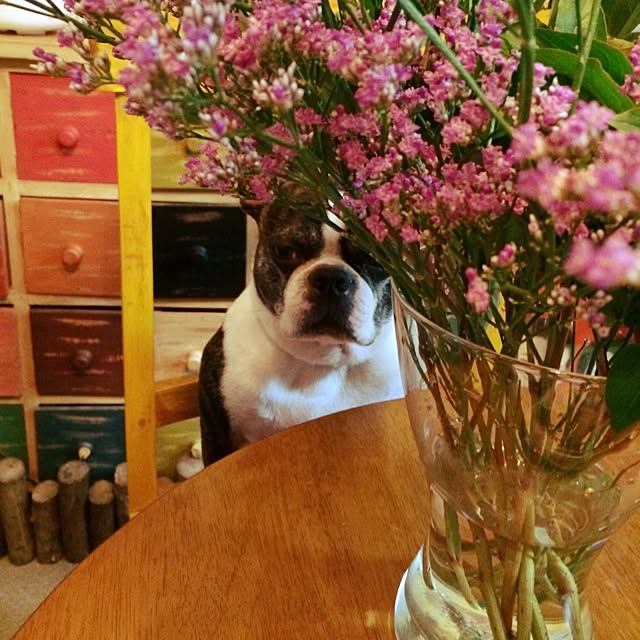 tubutanさんの実例写真