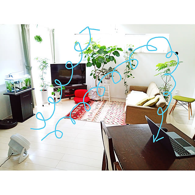 aquaさんの実例写真