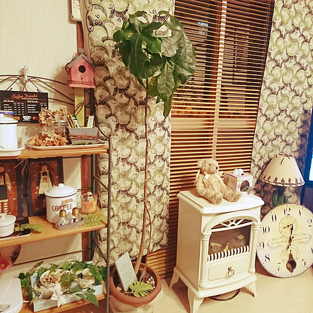 akken0622さんの実例写真
