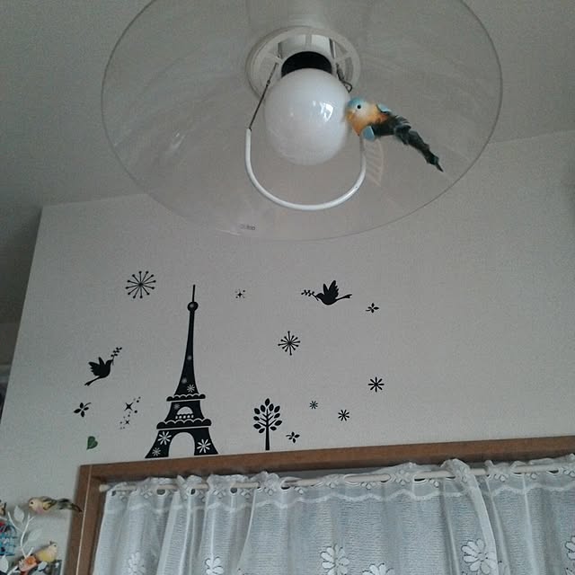 haruさんの実例写真