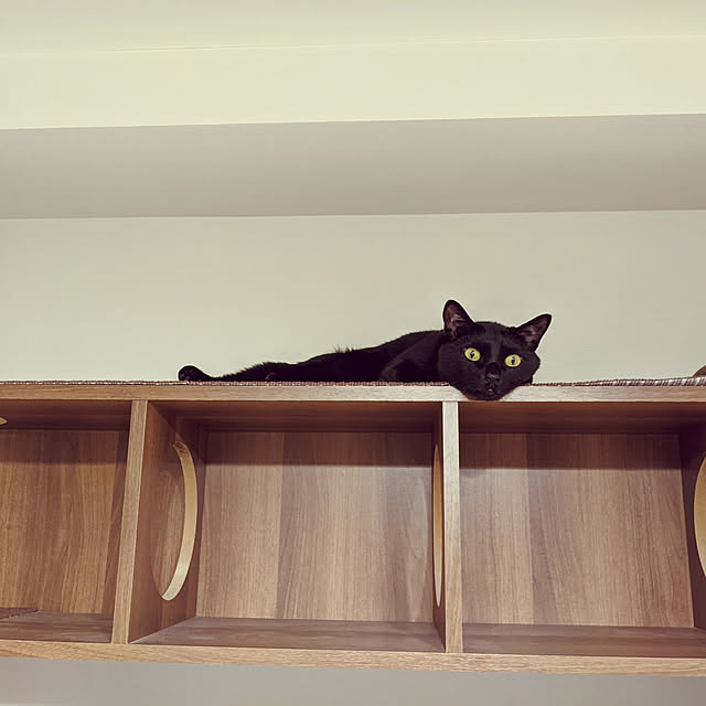 Pokkeさんの実例写真
