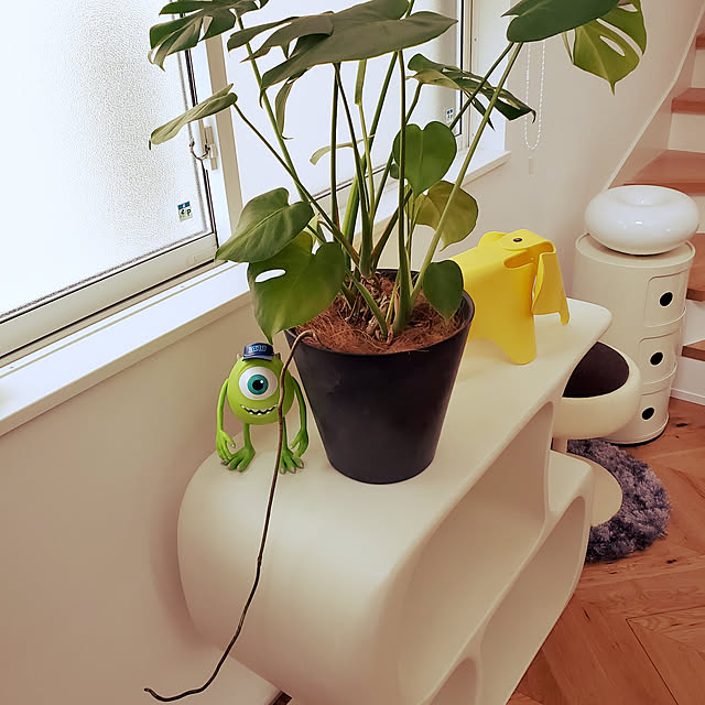 chandong777さんの実例写真