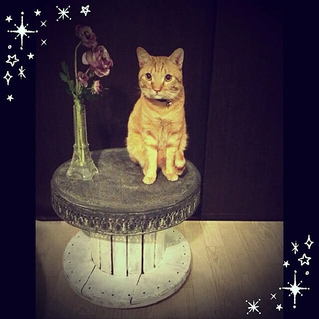 実例写真