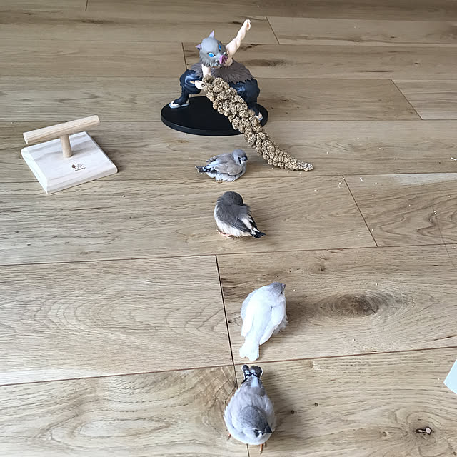 izumoanさんの実例写真