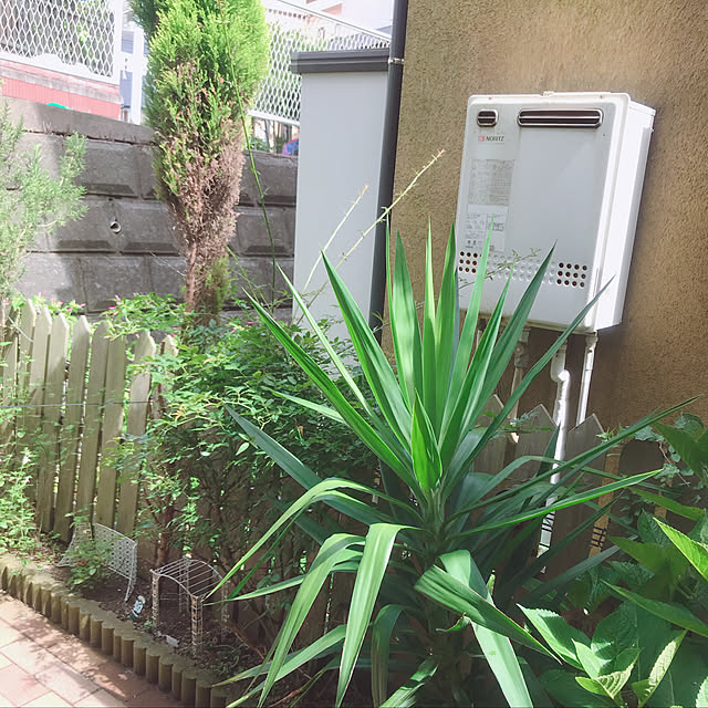miya.ayaさんの実例写真