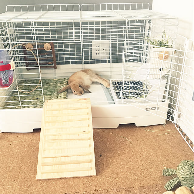 mihoonさんの実例写真