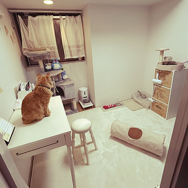 misakiさんの実例写真