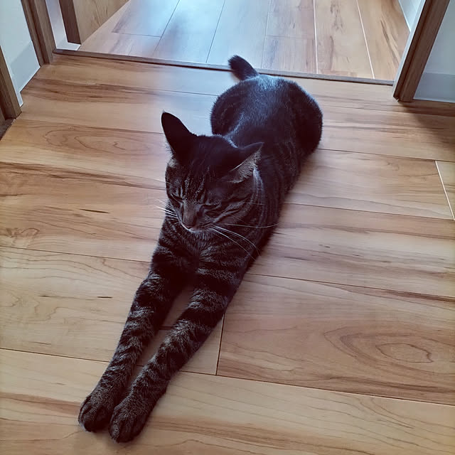 hihaさんの実例写真