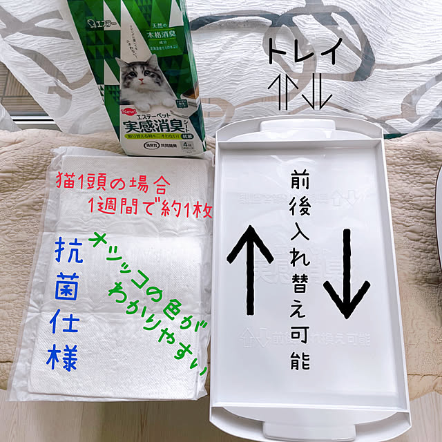 posauruさんの実例写真