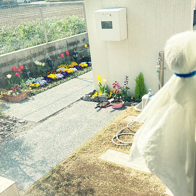 fumofumoさんの実例写真