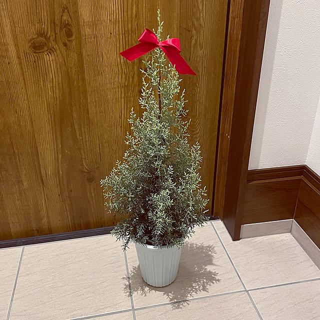 yukimidaifukuさんの実例写真