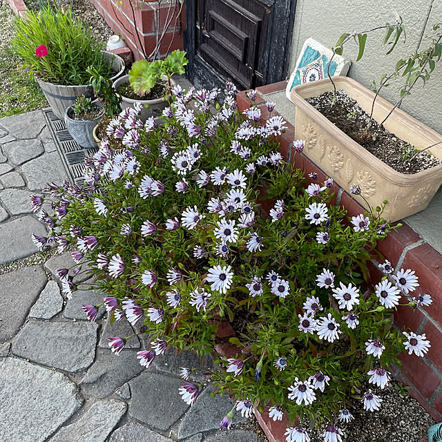 shin0719さんの部屋