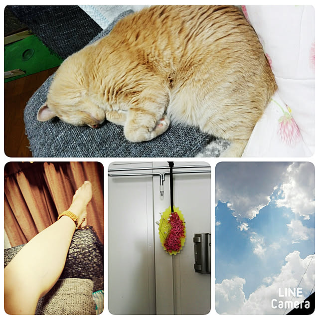 nana.maroさんの実例写真